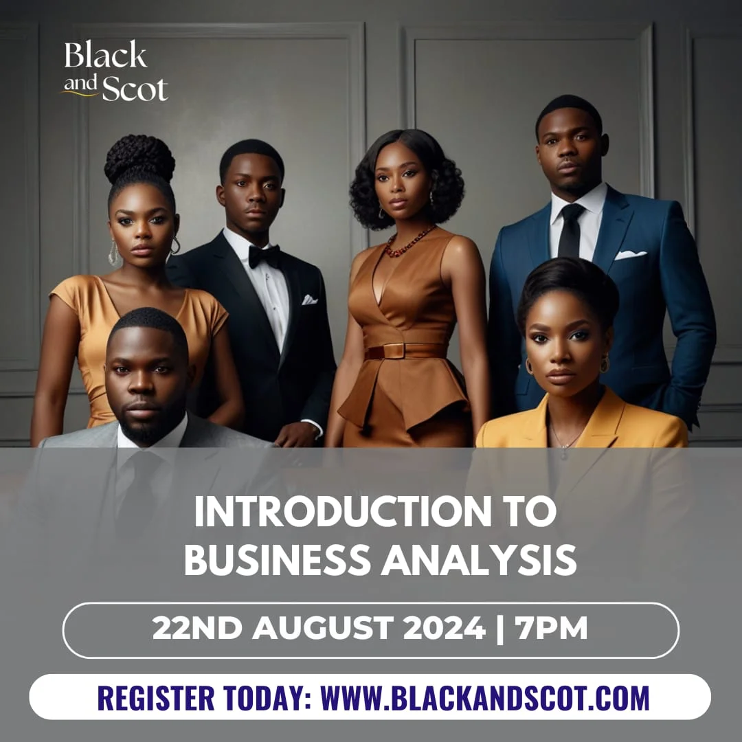 Introduction to Business Analysis